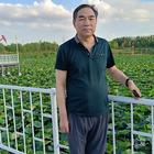 麗灣華都