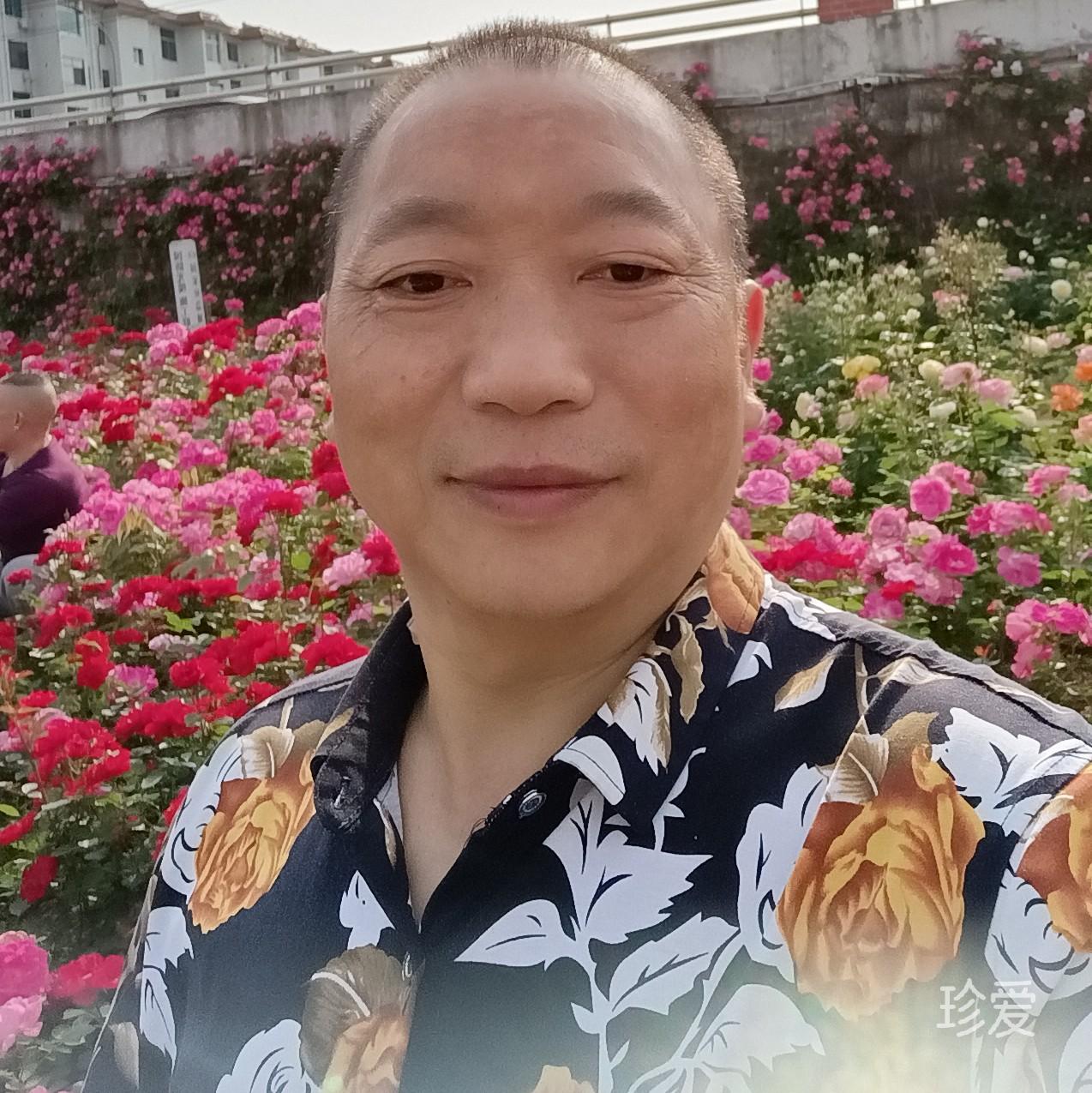 爱在有缘时