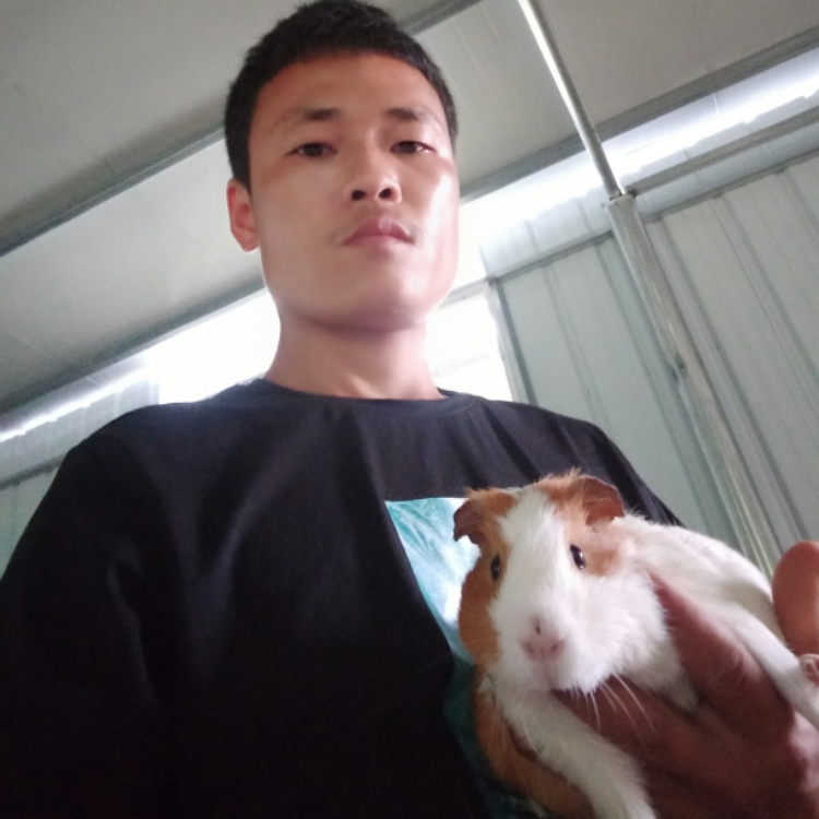 從妳的世界路過(guò)