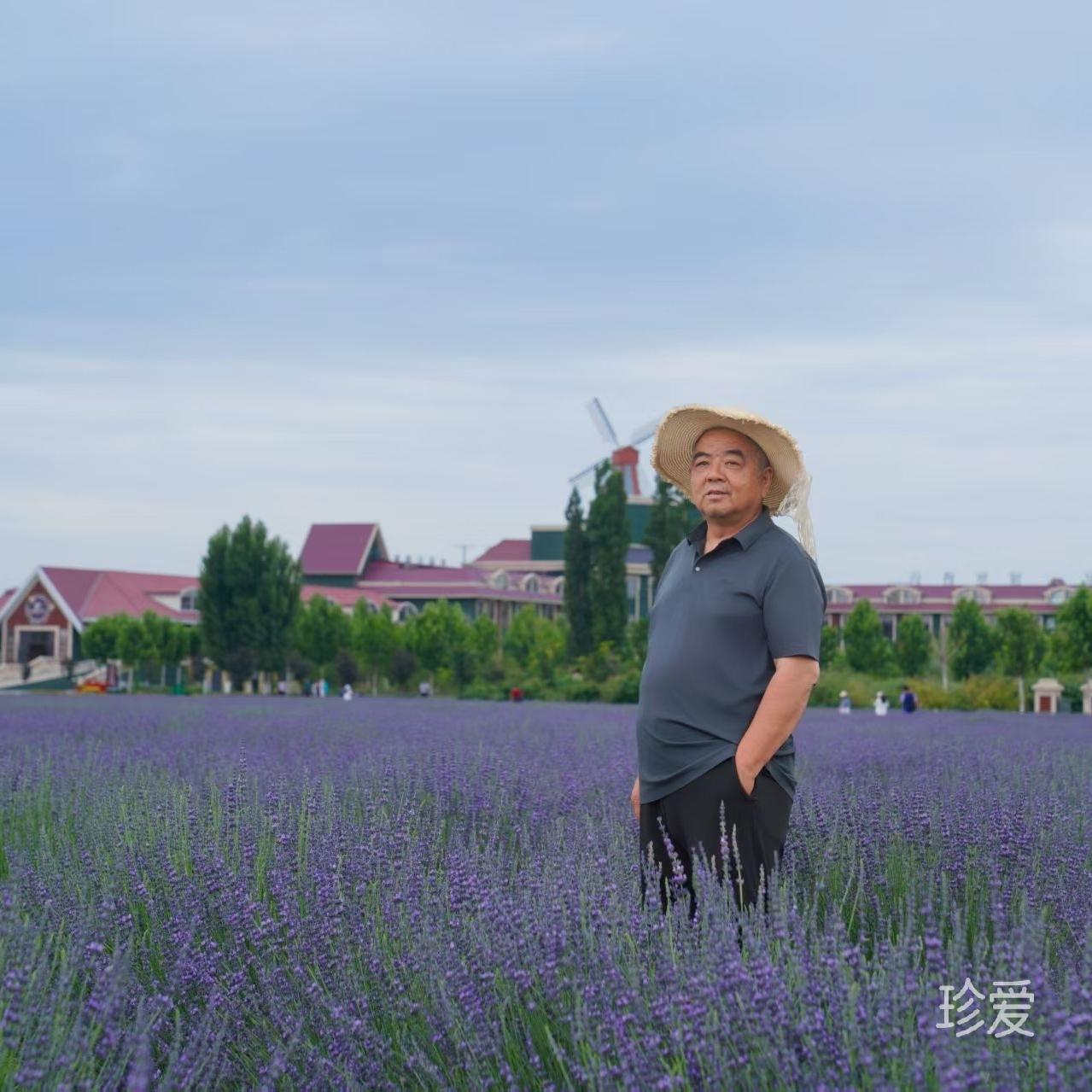 游走的鱼