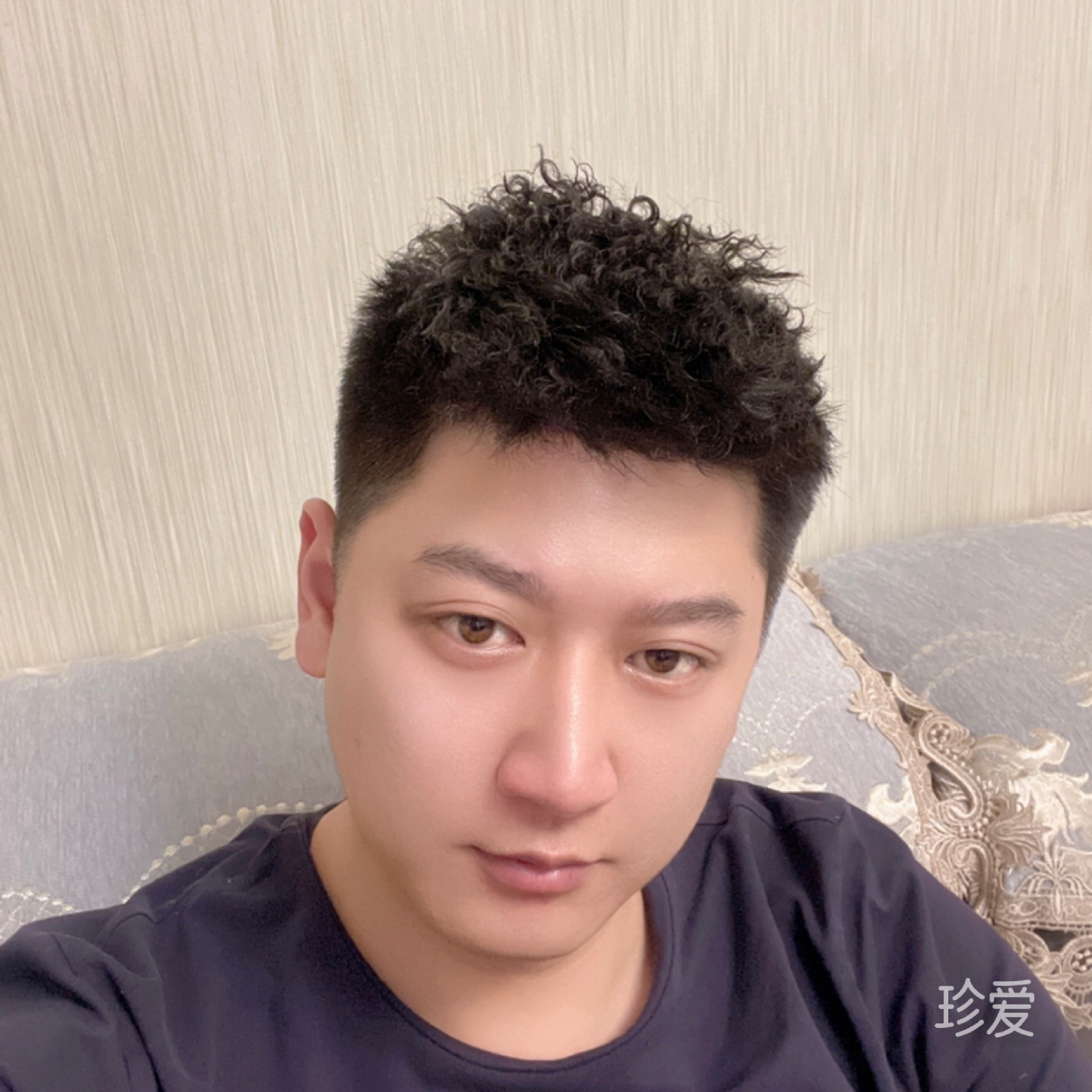 荒漠中的一片葉