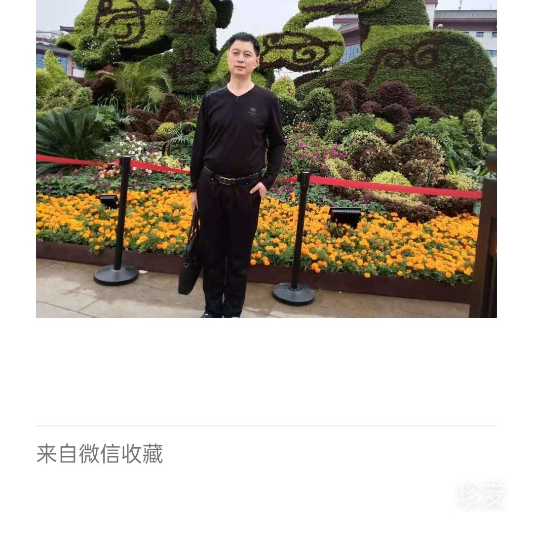 陽光總在風雨后