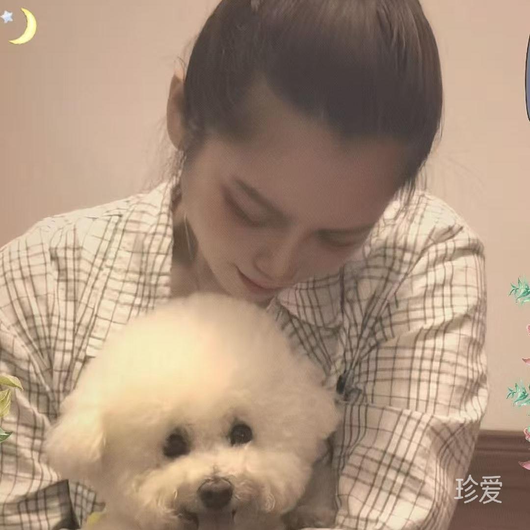 小绵羊