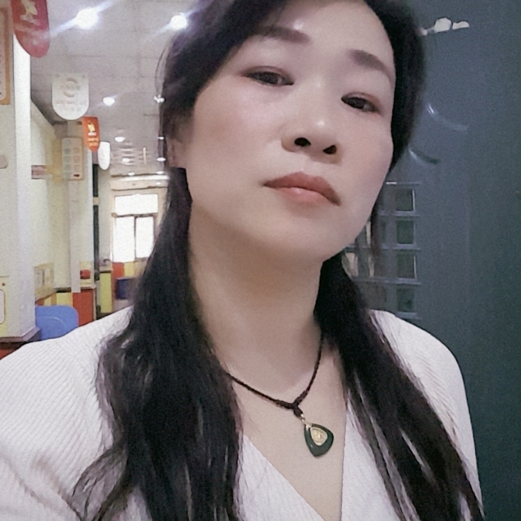 半城繁華半城傷