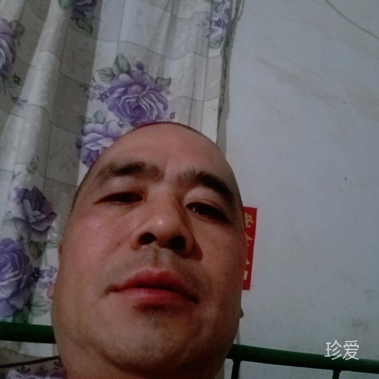 真实的我