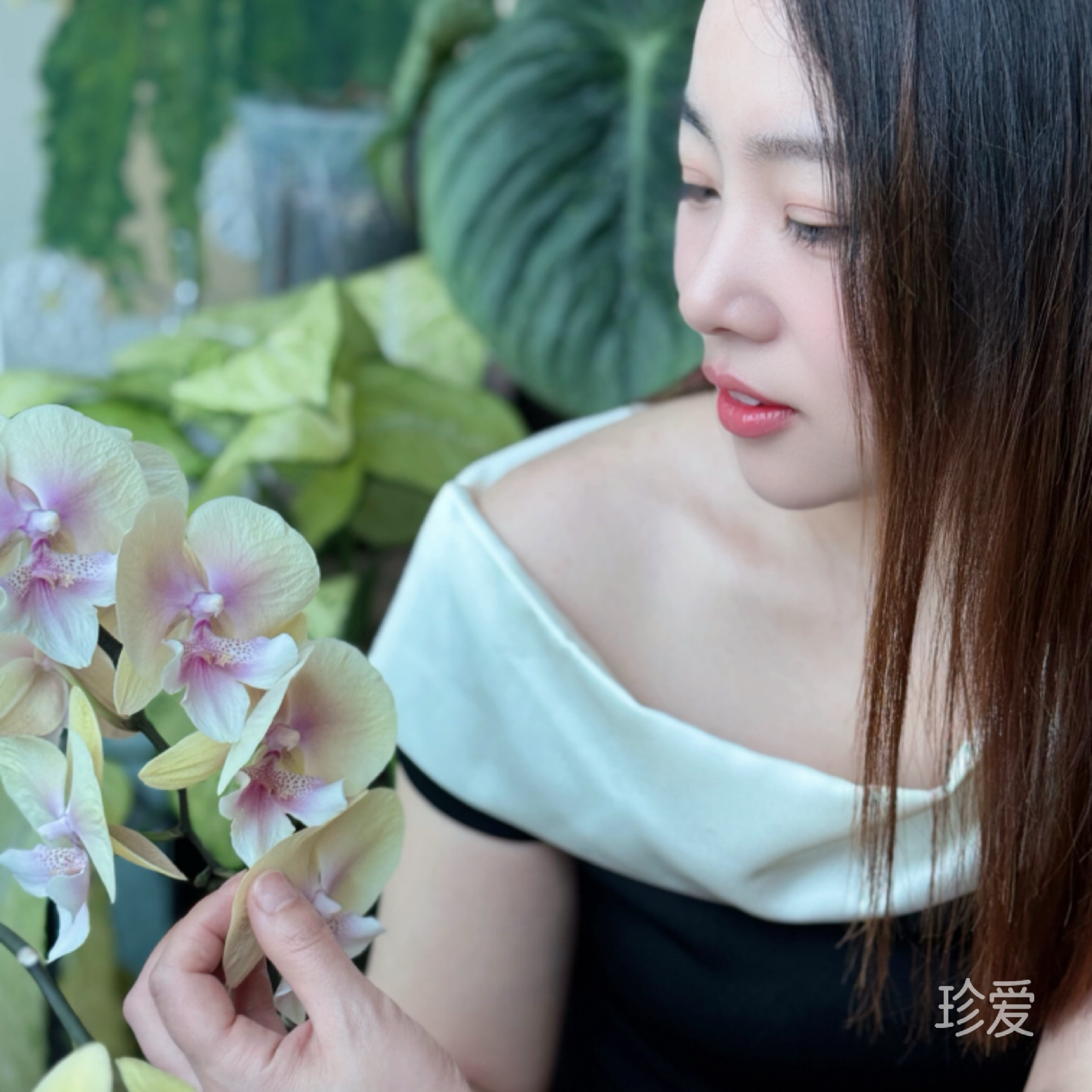 六个太阳