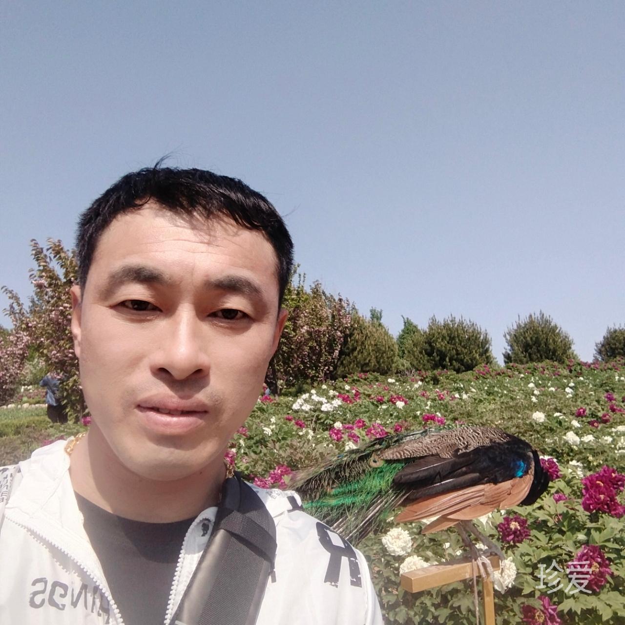 淡明