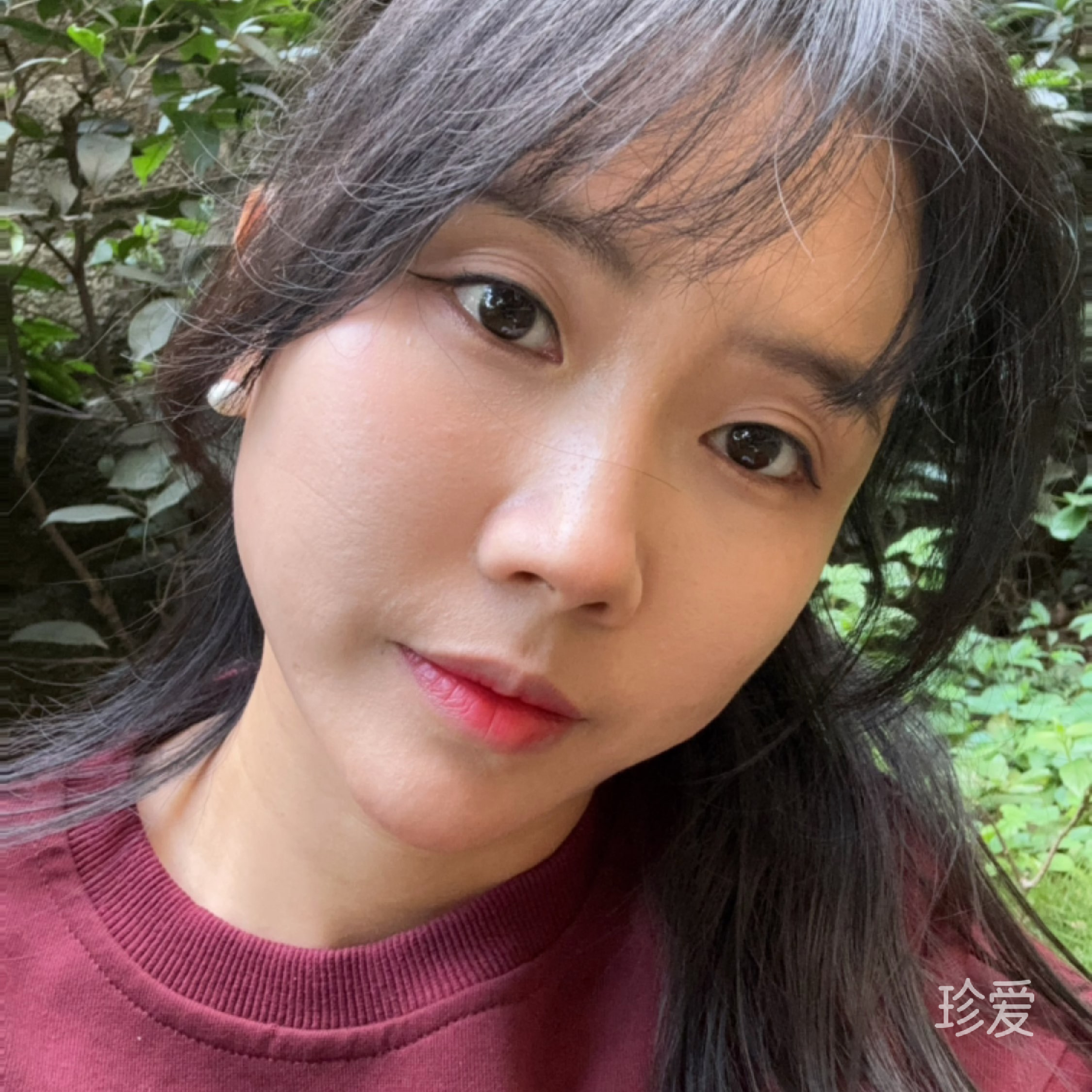 迷鹿