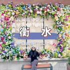 蓮