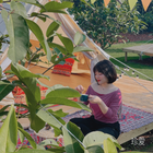 芥末