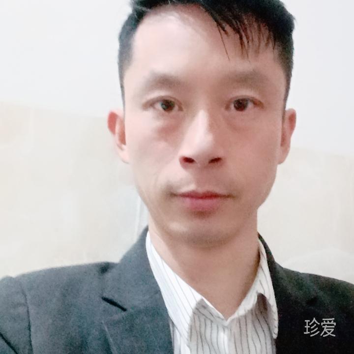 雨落青苔起相思