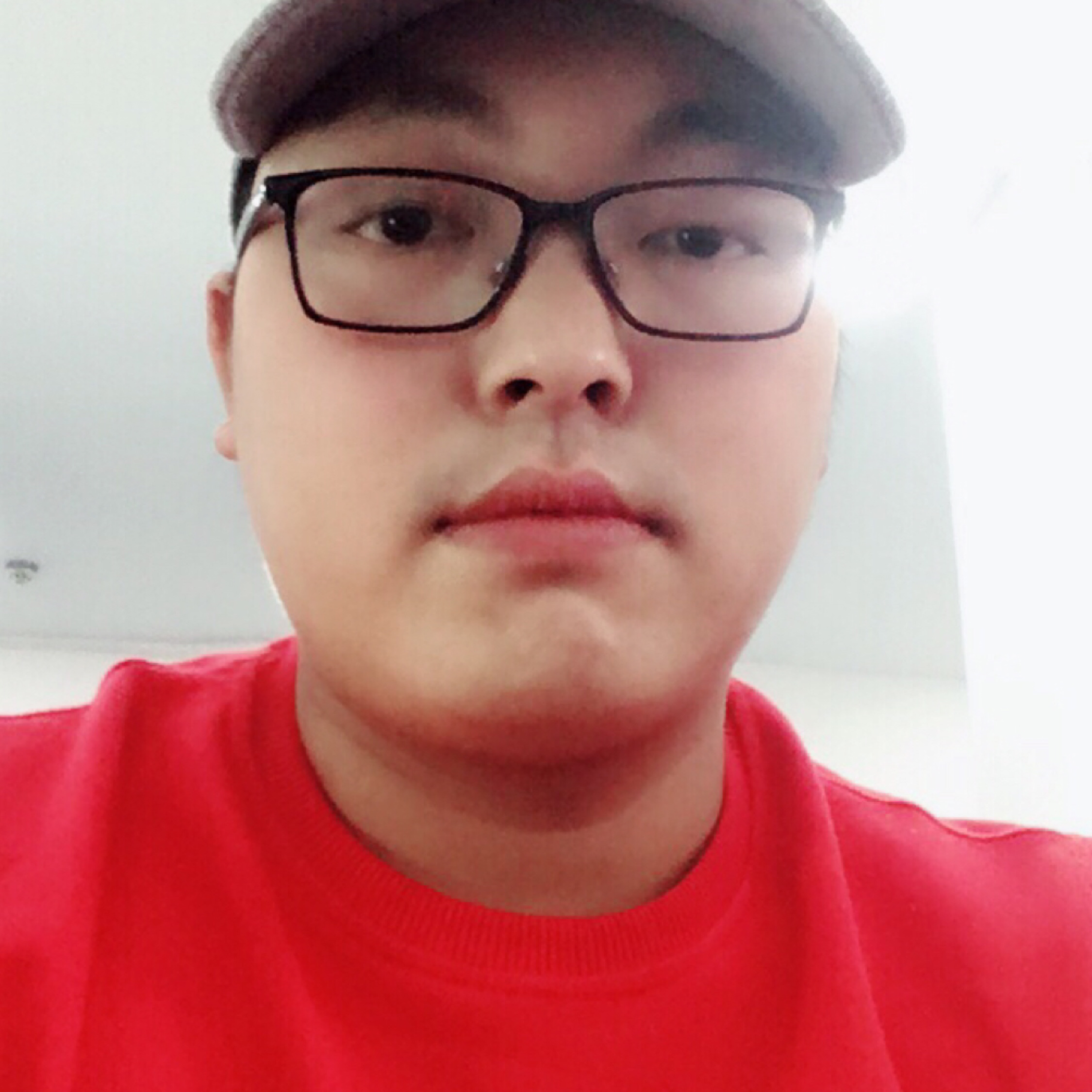 会飞的鱼