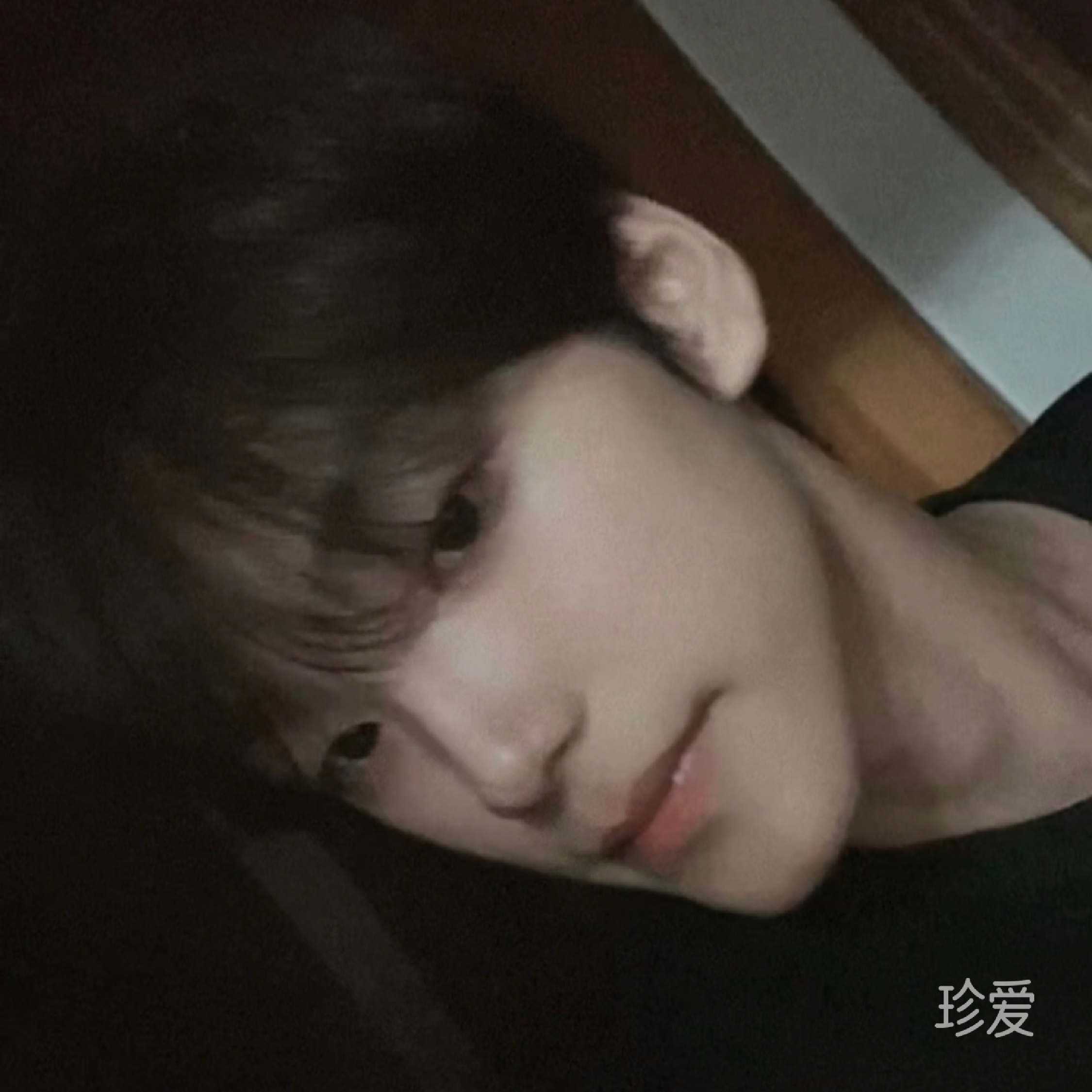 真爱最爱