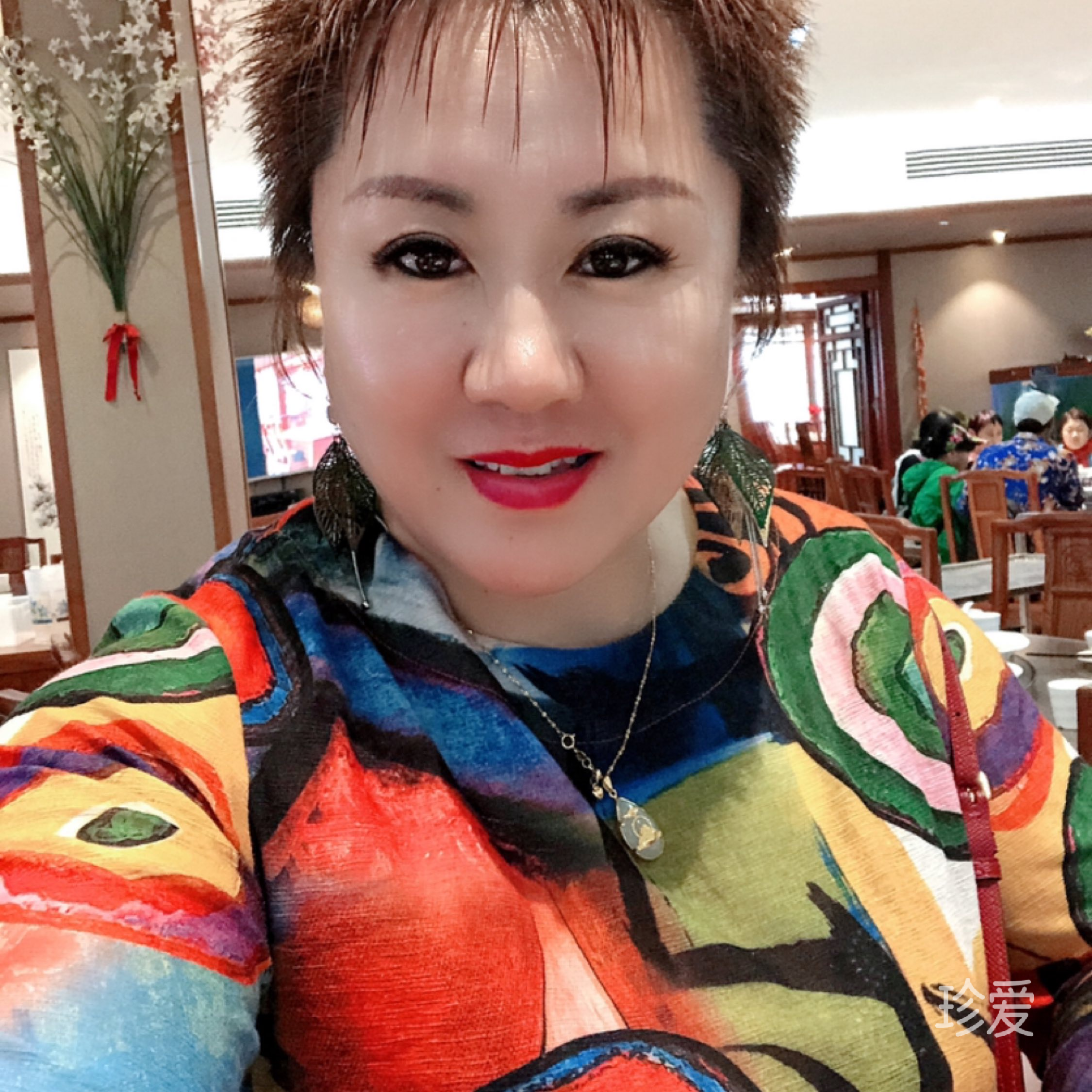 想飞的心大董事