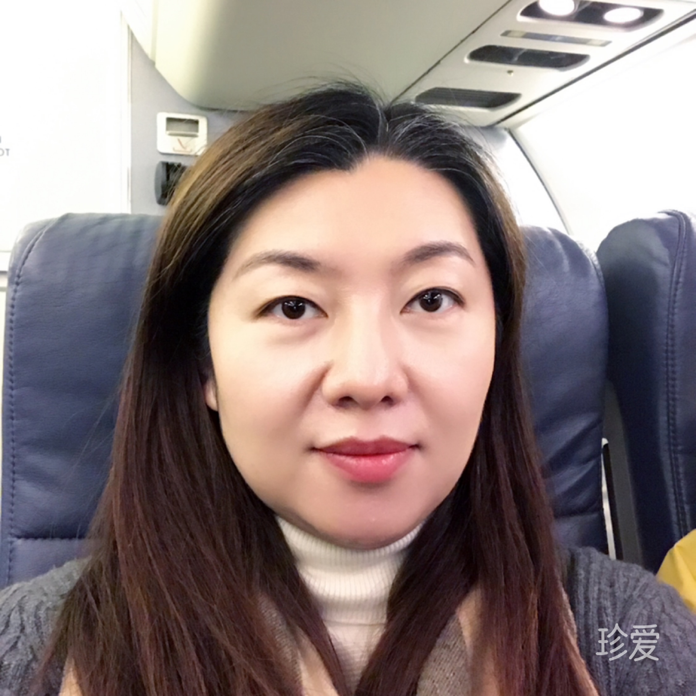 本自具足的波斯貓