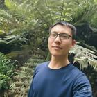 迷路小狼