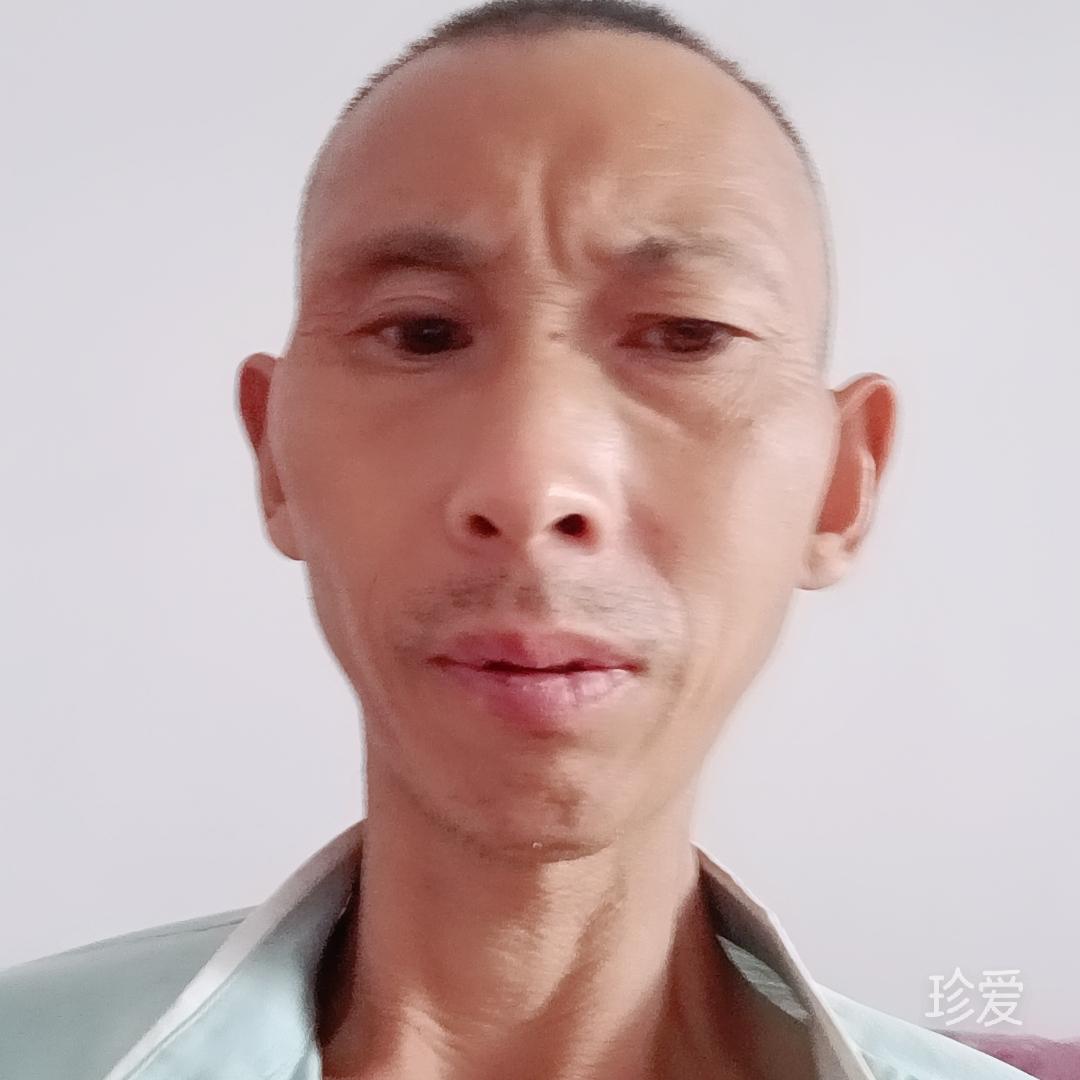 相思枫叶