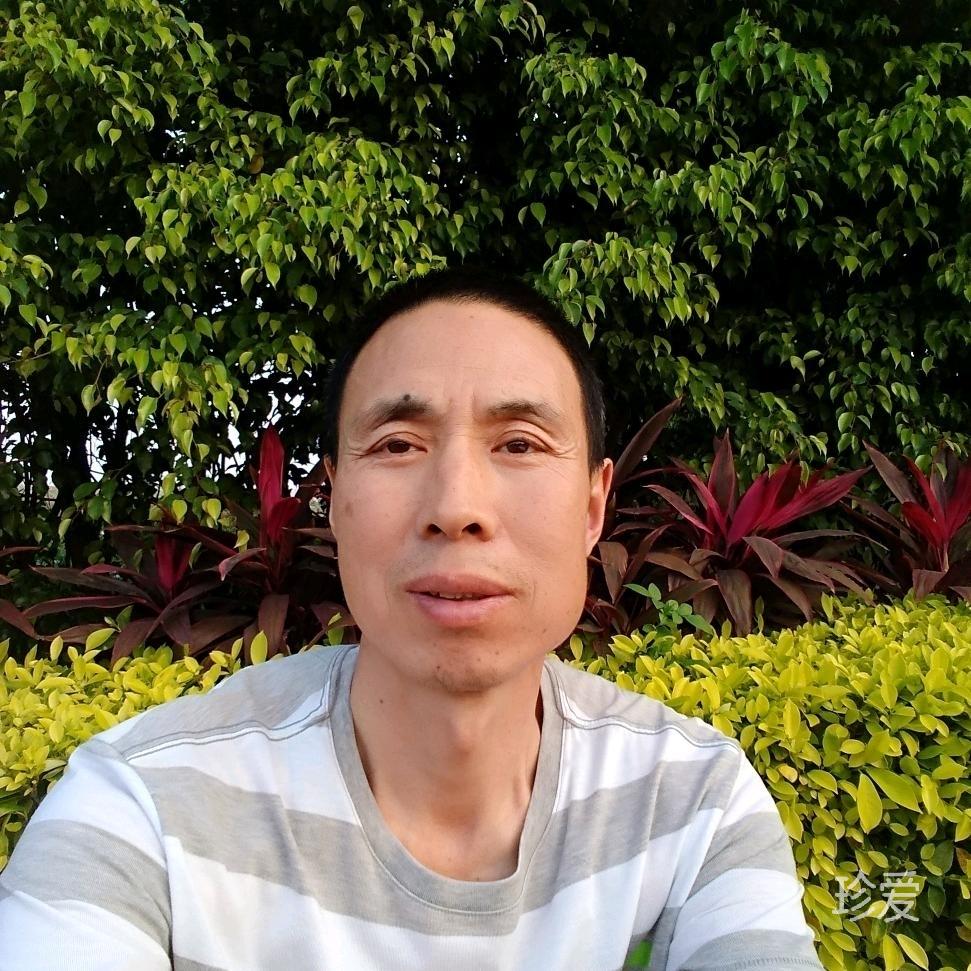 不离不弃