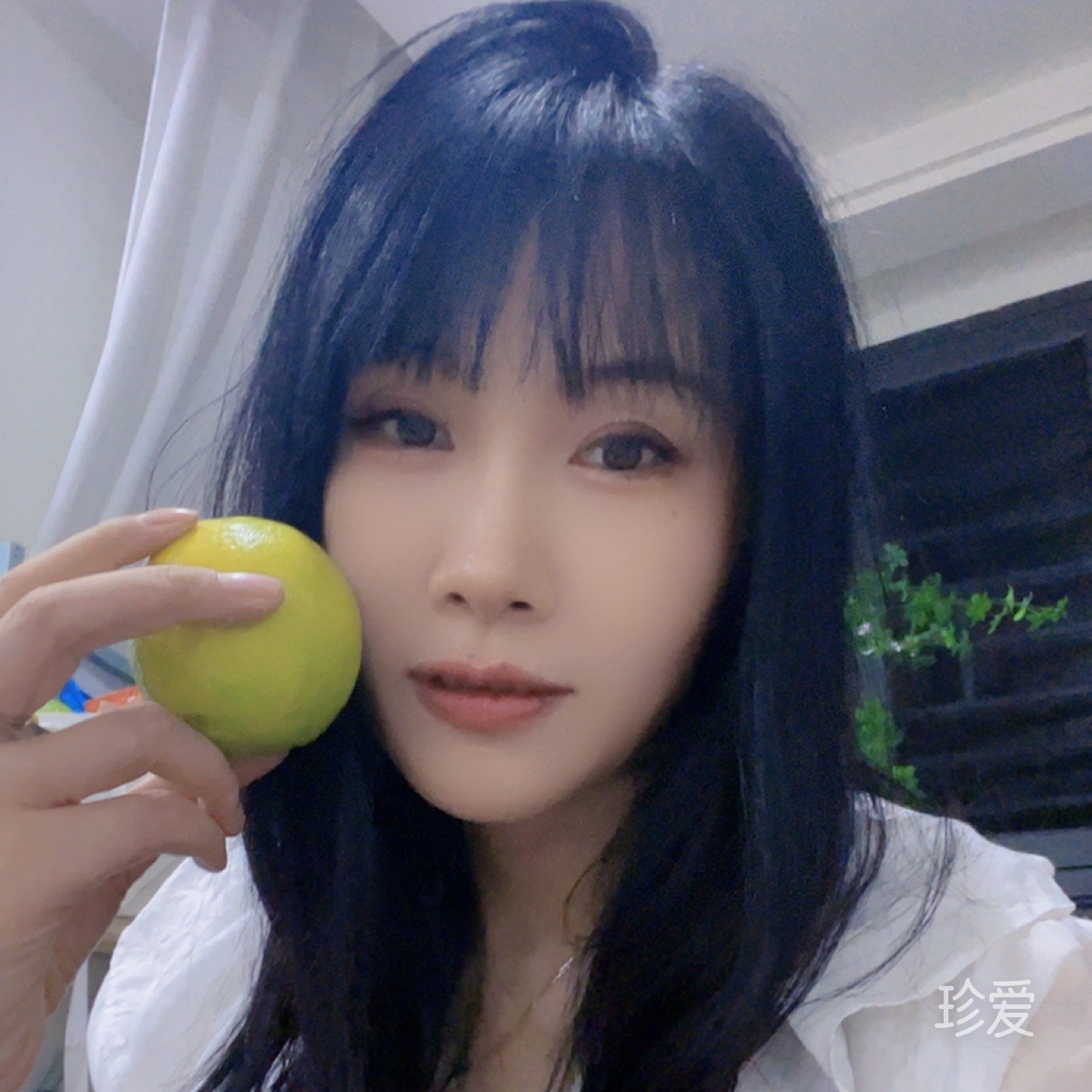 太阳是我咬圆的