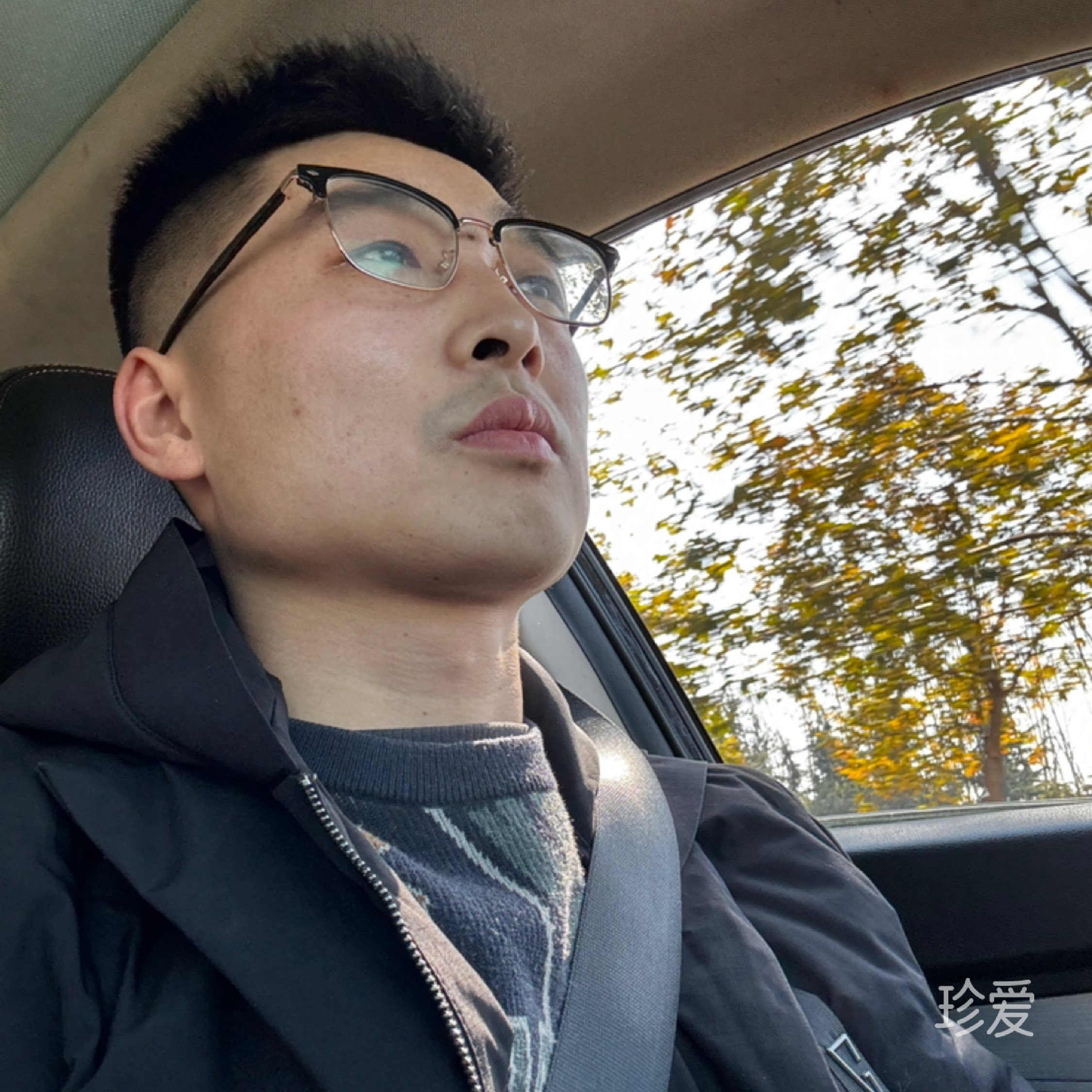 一帘幽梦