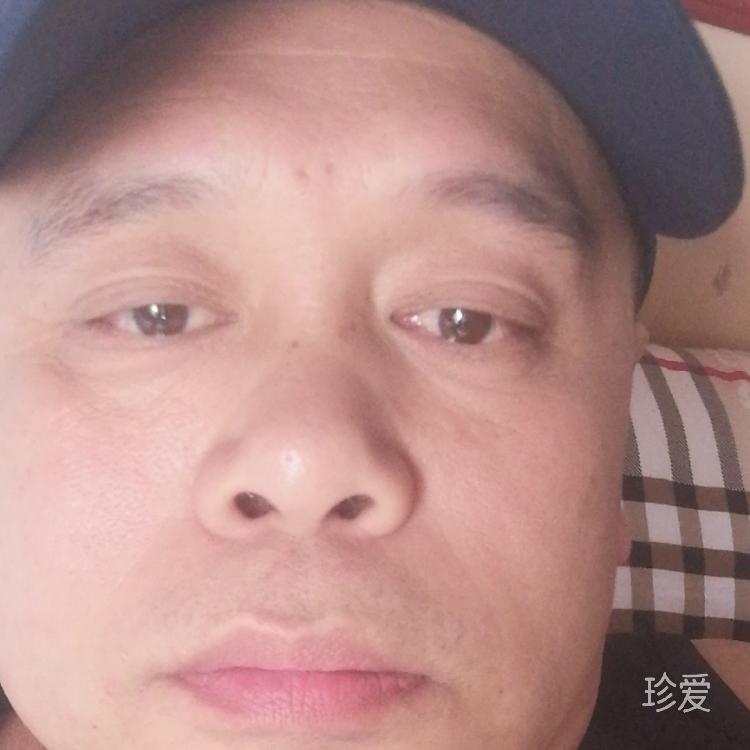 浪漫的约会