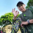 凌波微步快網(wǎng)兒