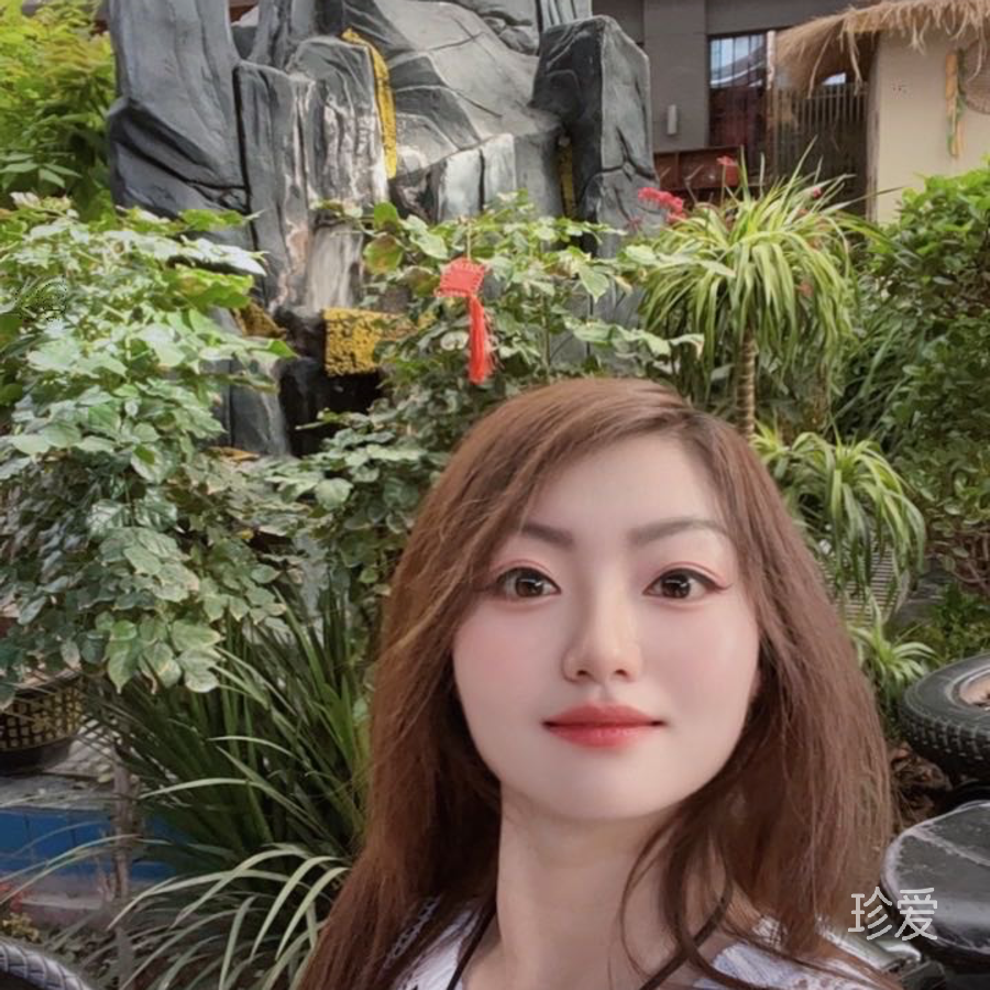 贴心伴侣