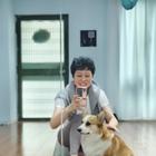 解鈴還須系鈴人