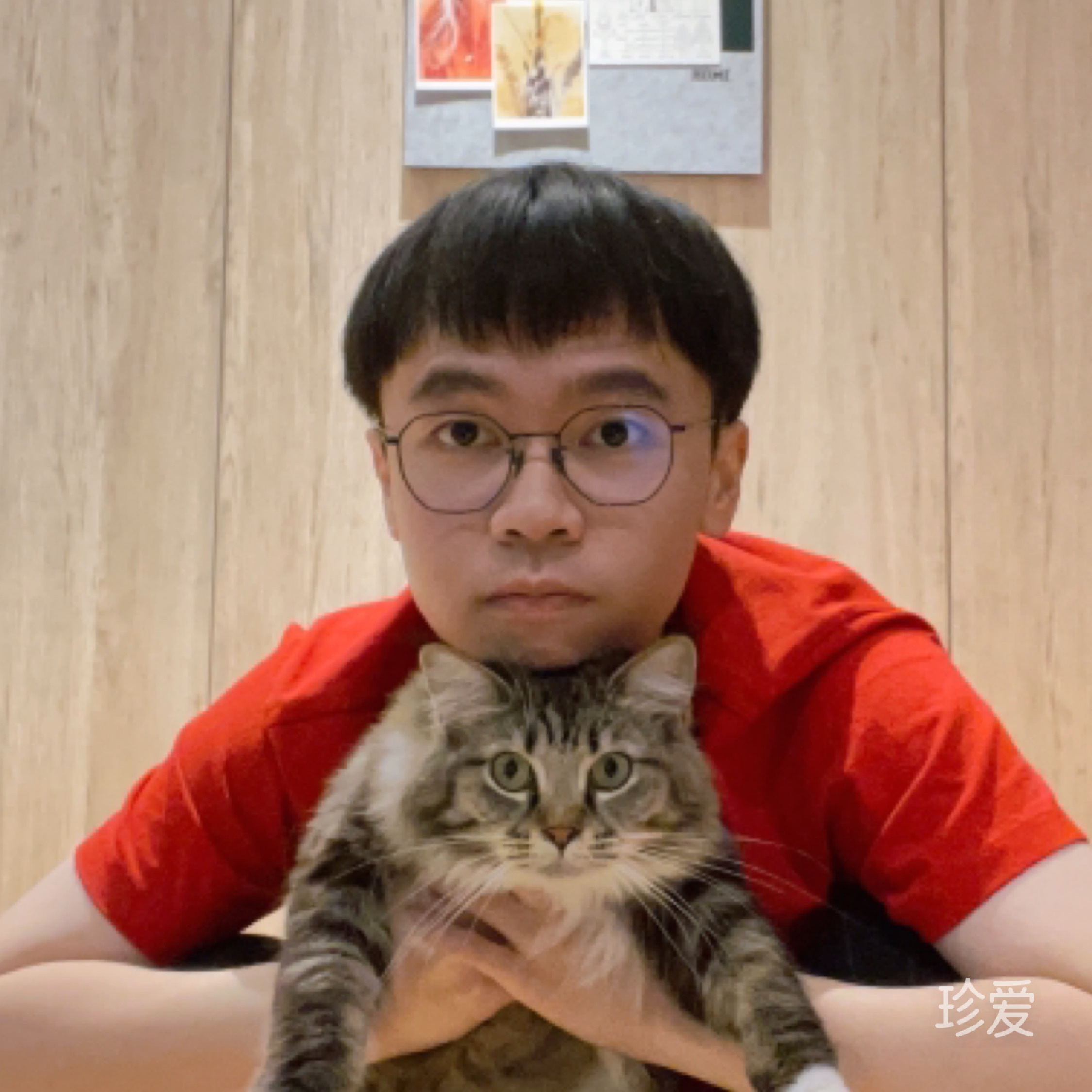 圆圆