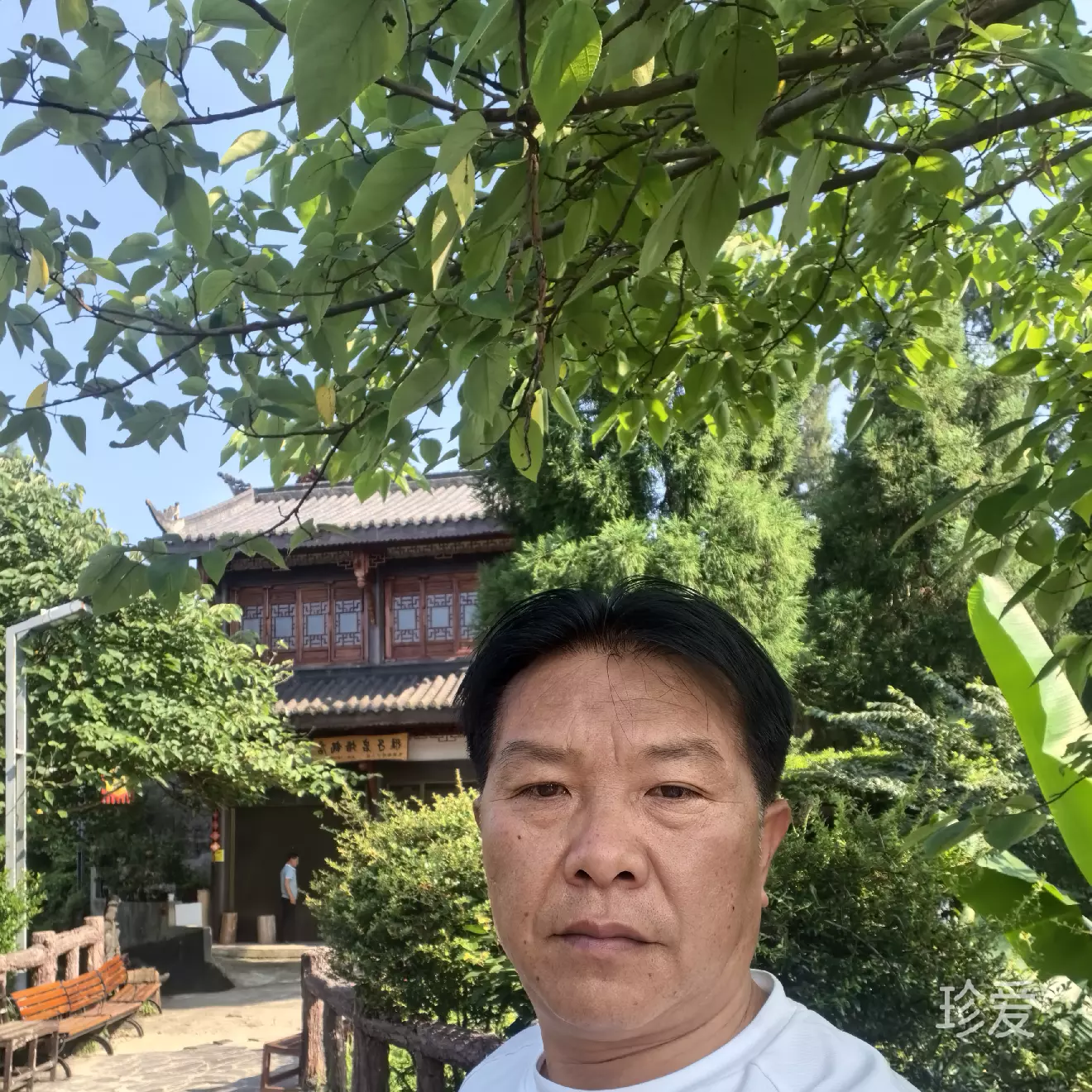 随风