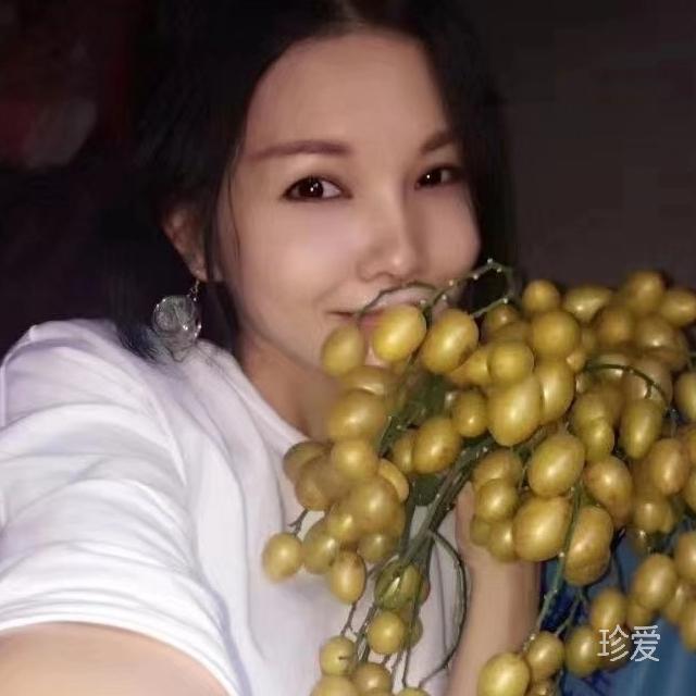 宇宙規律重建文明