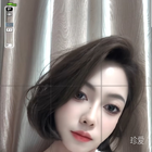 優(yōu)雅的葉子