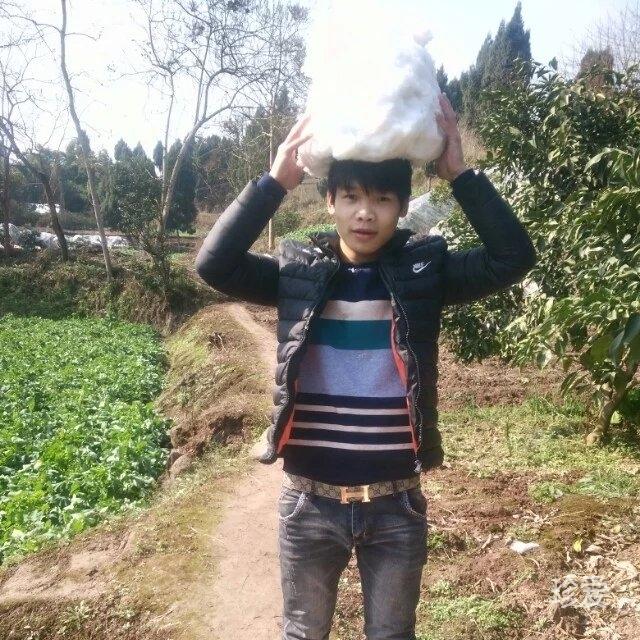 聽風(fēng)等下雨