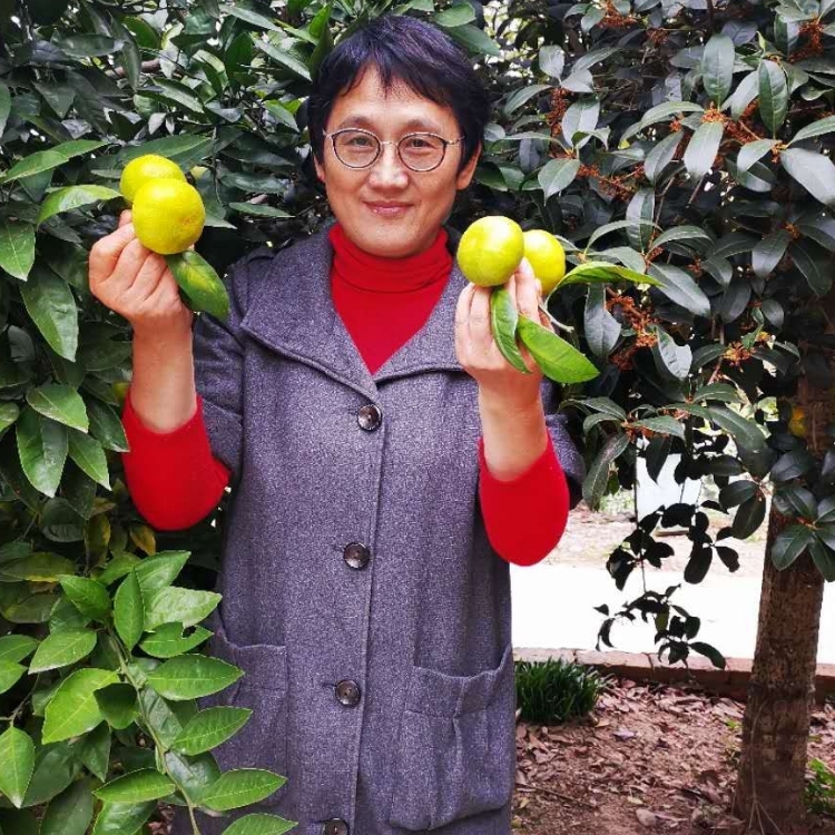 風(fēng)雨過(guò)后總是彩虹