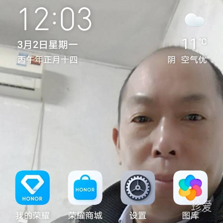醉卧枫林