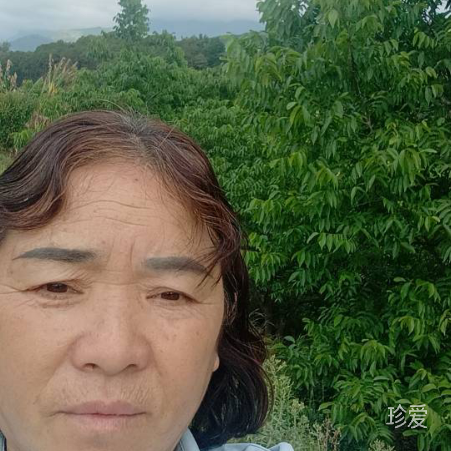 洛希