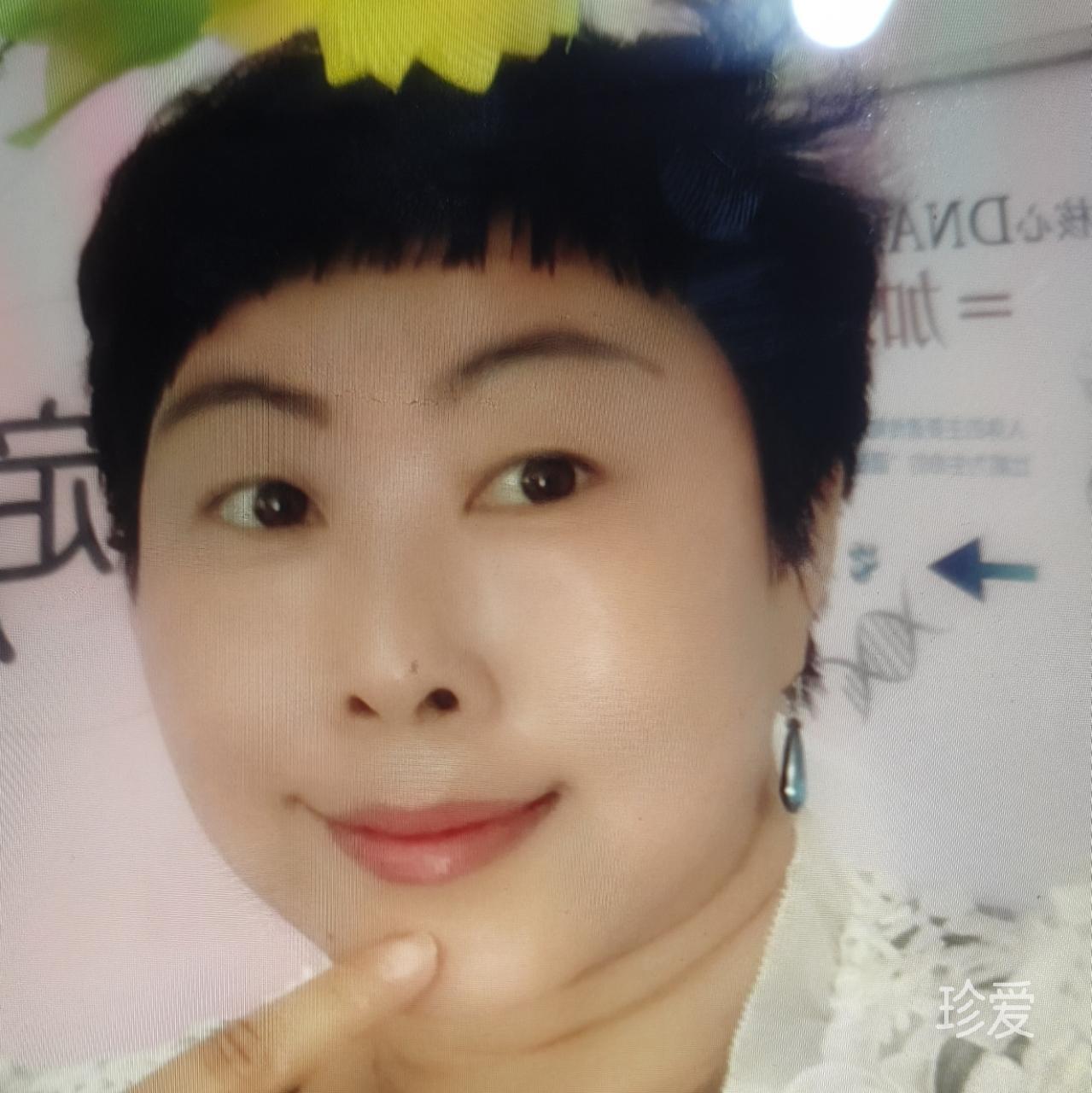 淡淡的歌