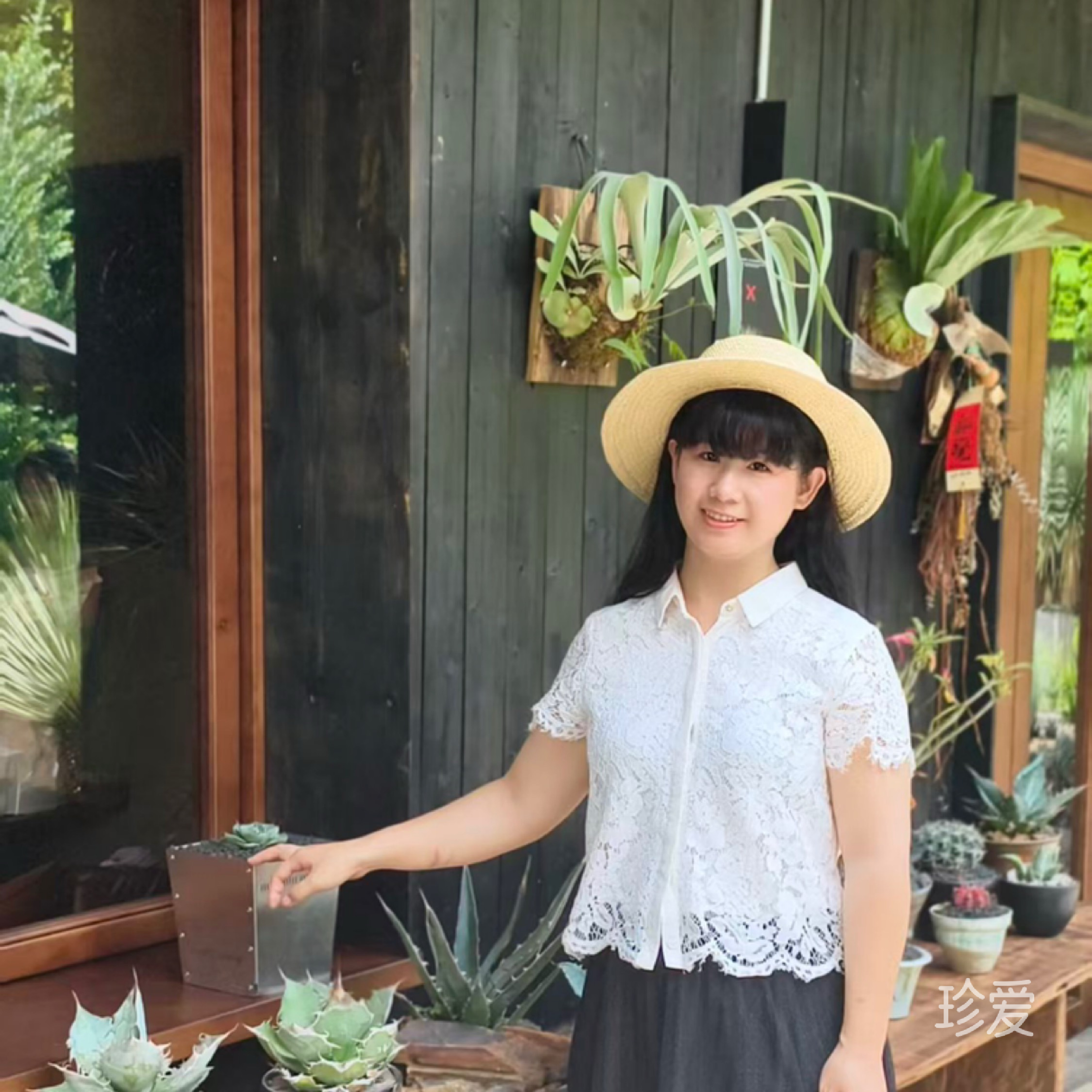 风中听雨