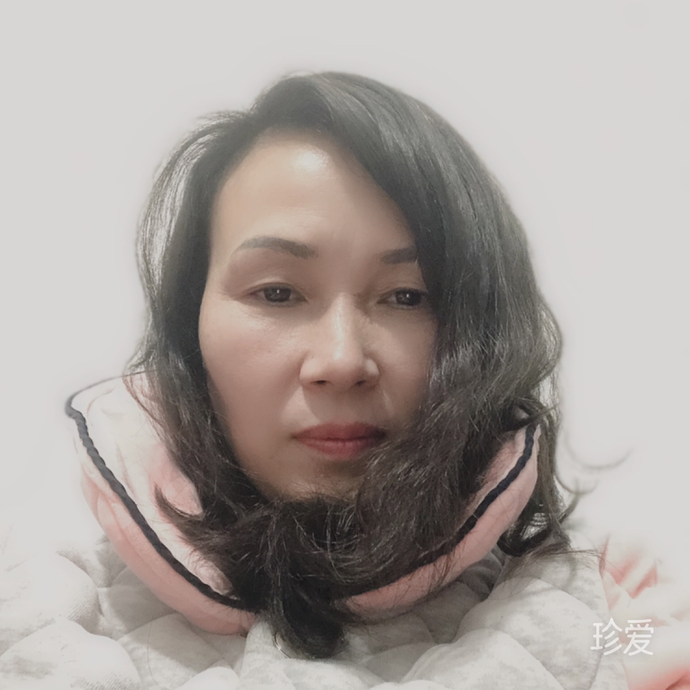 情歌不会老