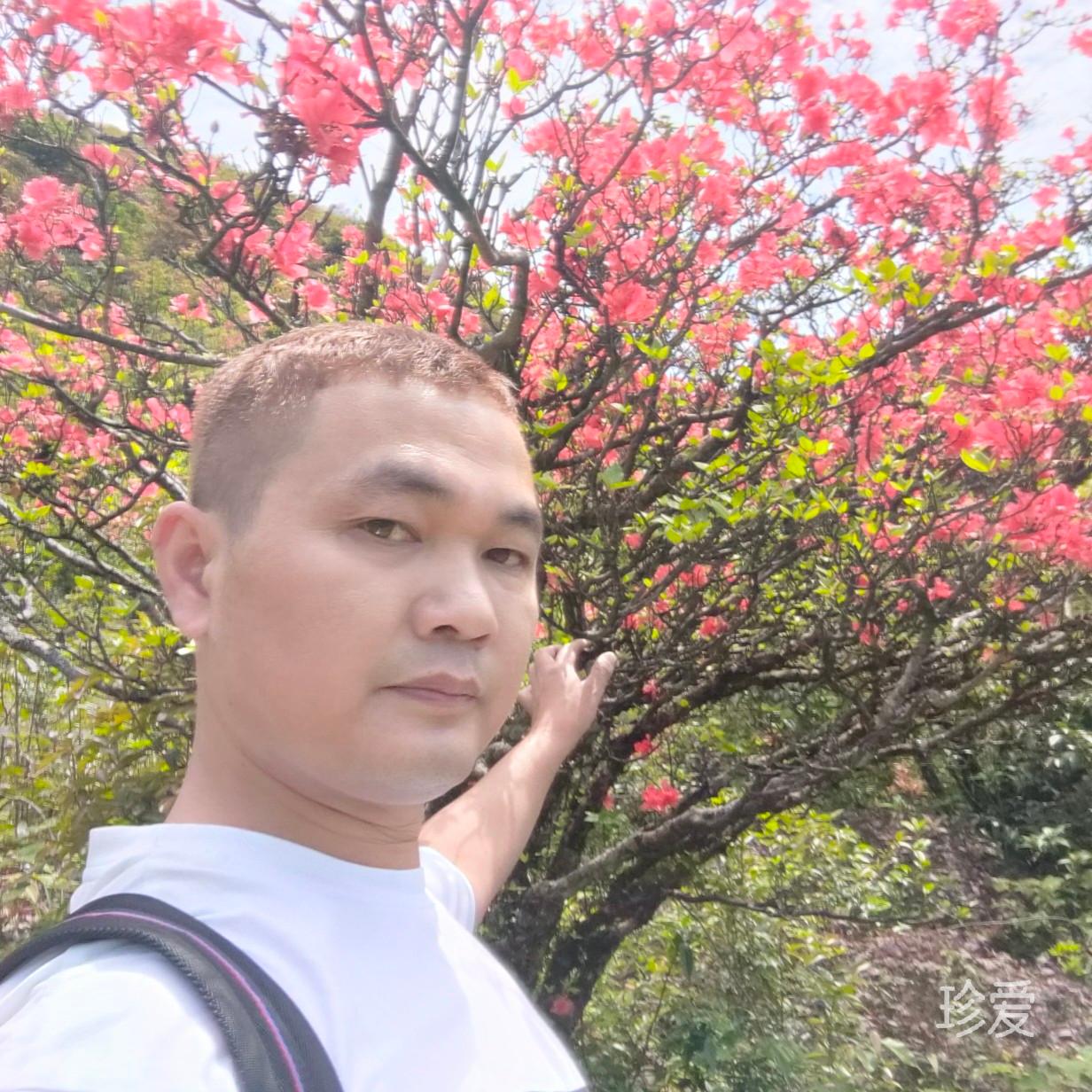 你若安好便是晴天