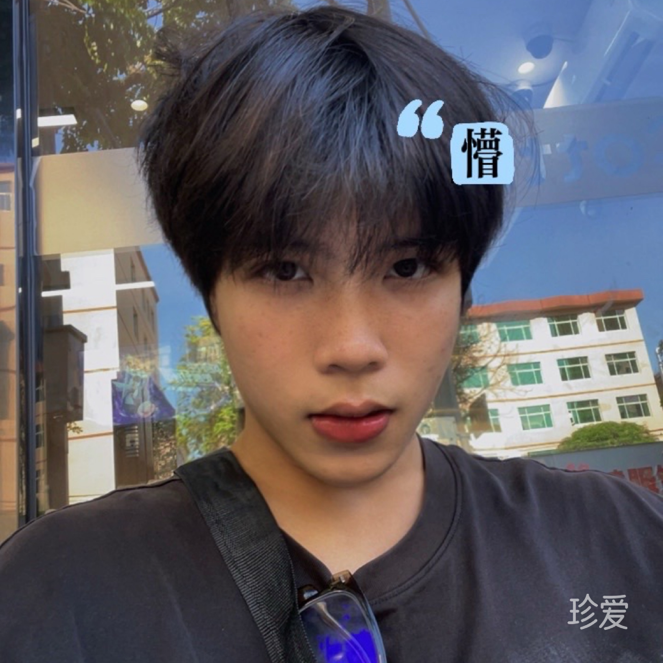 挽天倾