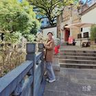 秋胡蝶