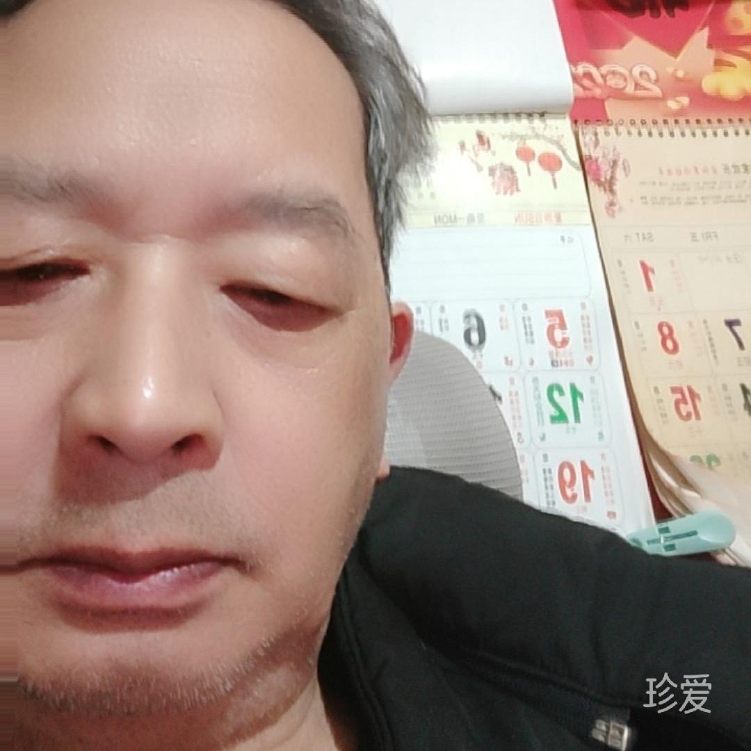 丛林雨叶