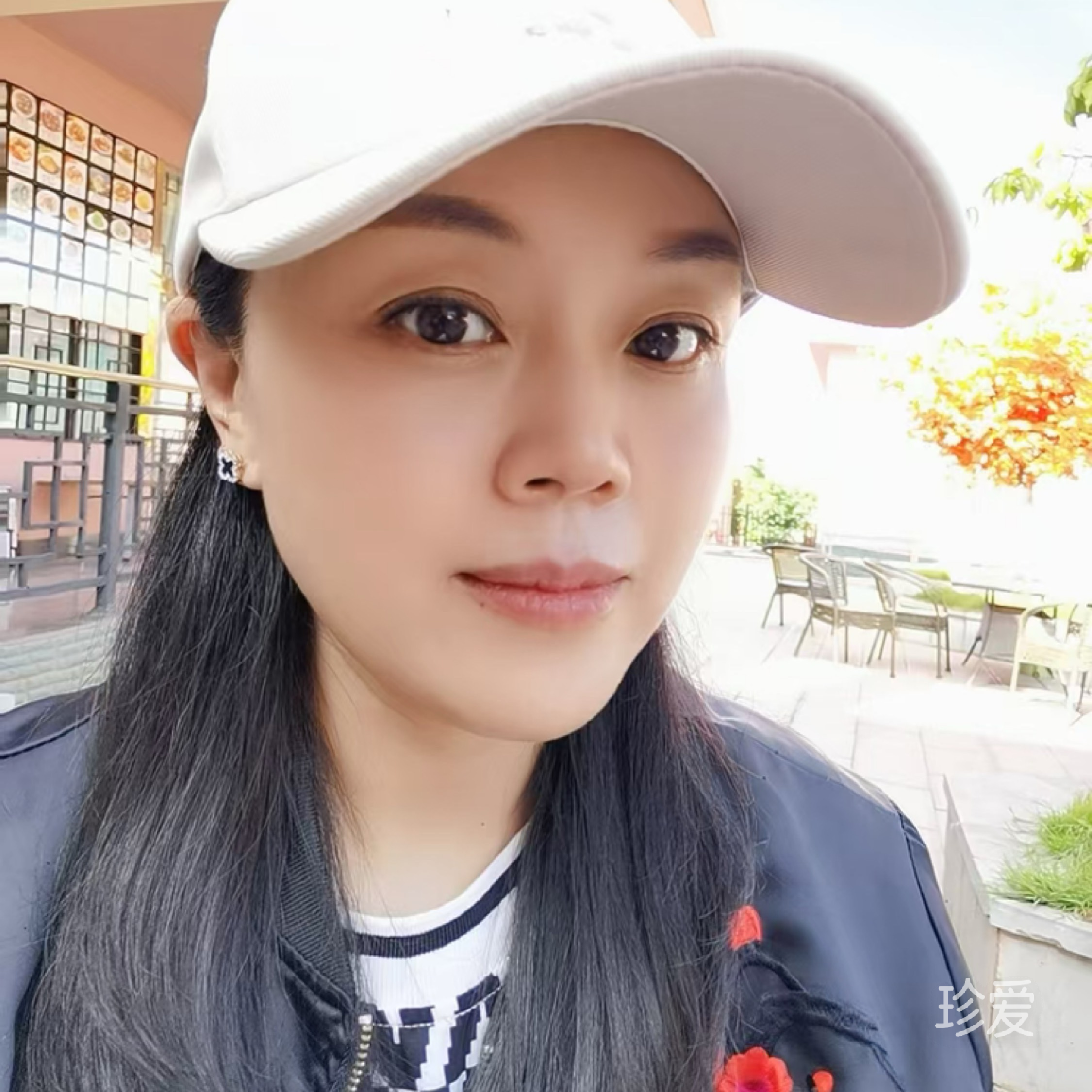 芙蓉树下的过客