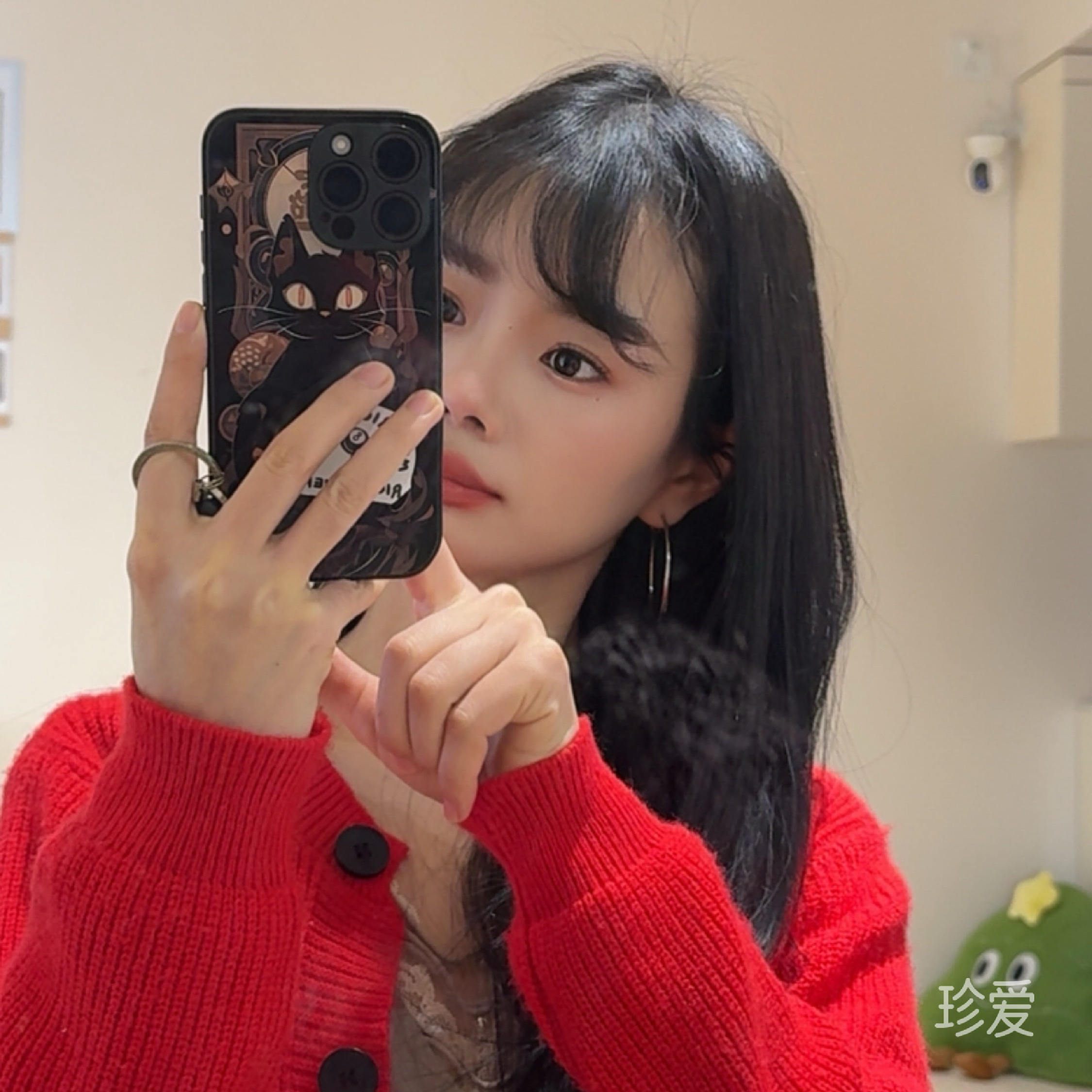 一个不倾城的女子