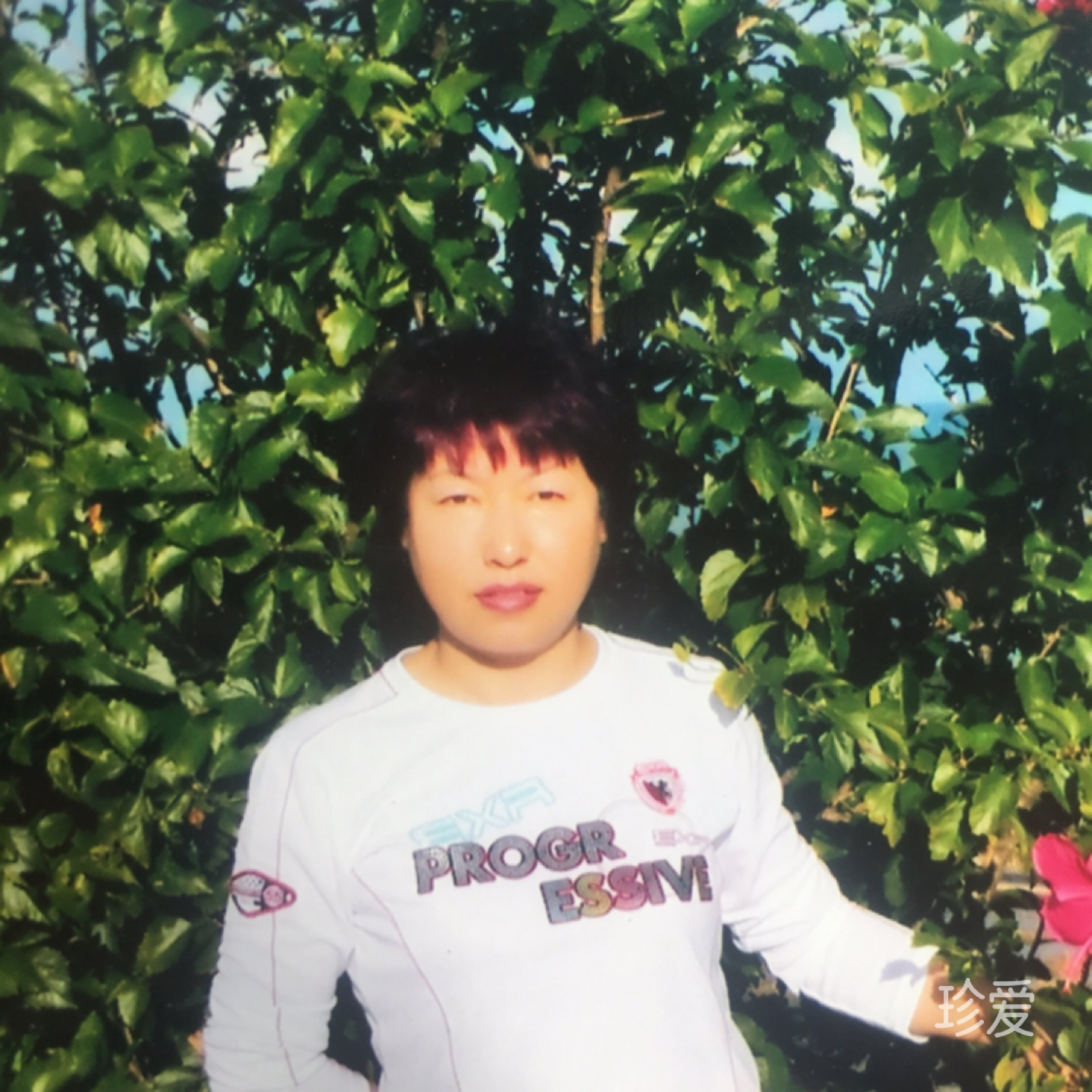 菲儿