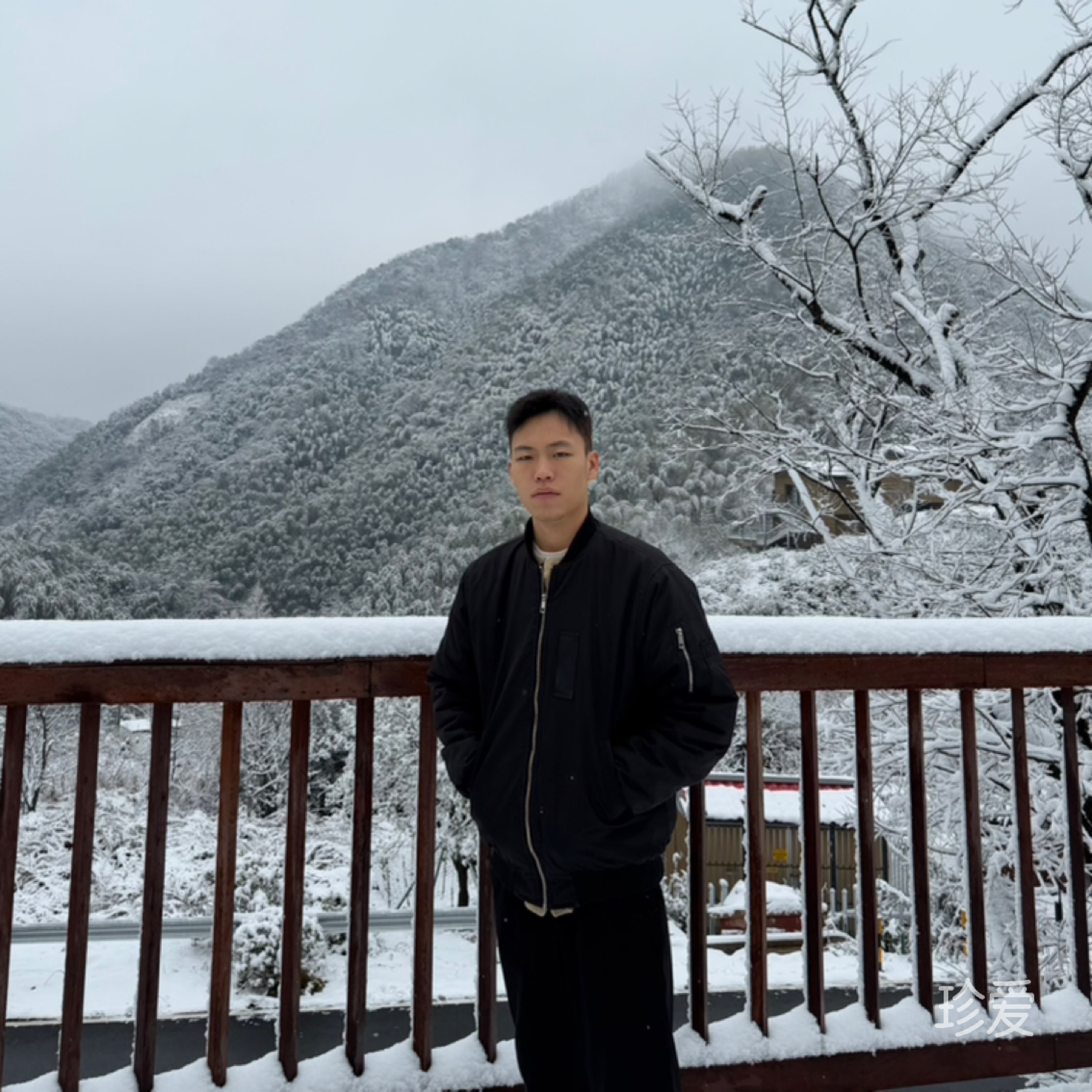 南风知我意
