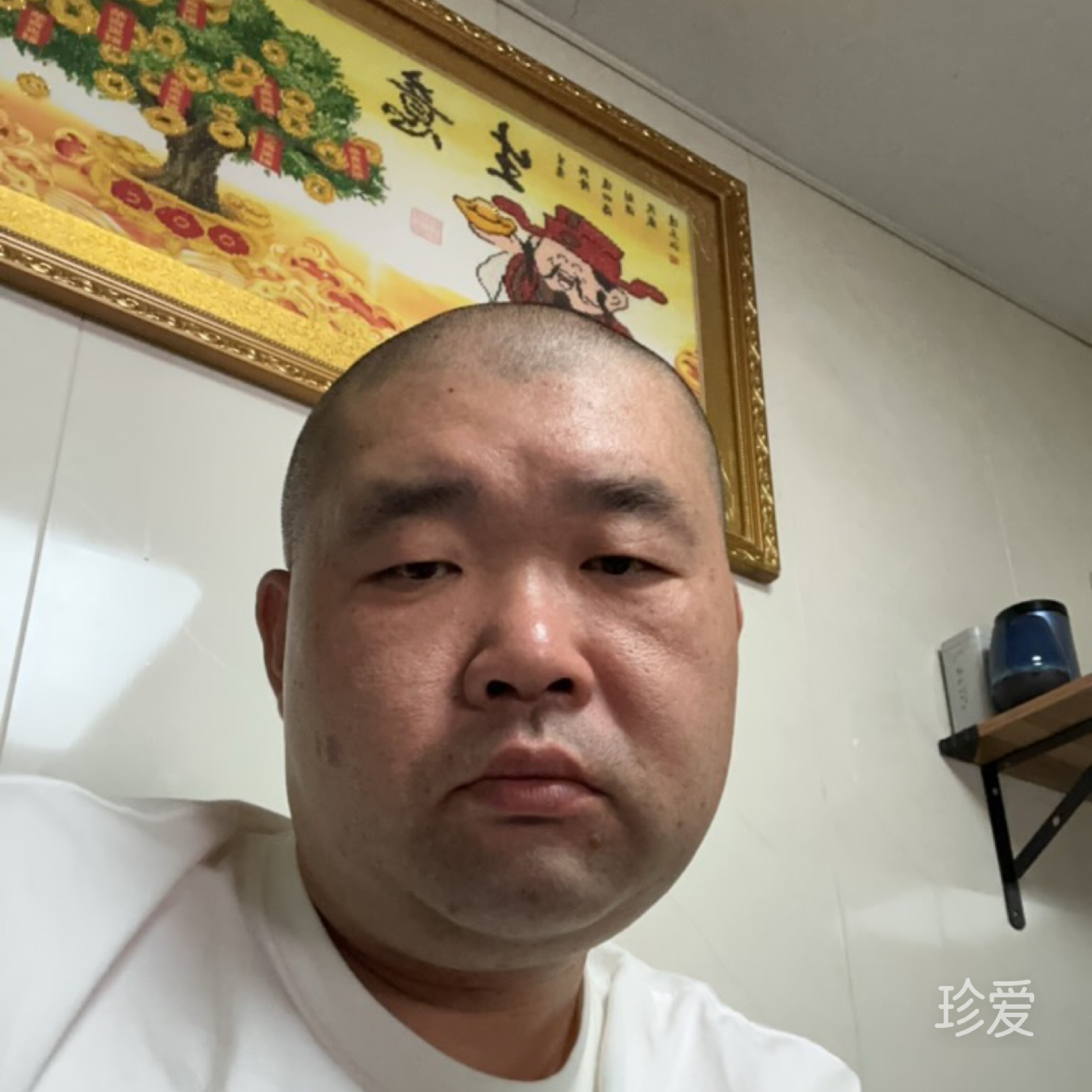 不要迷恋哥