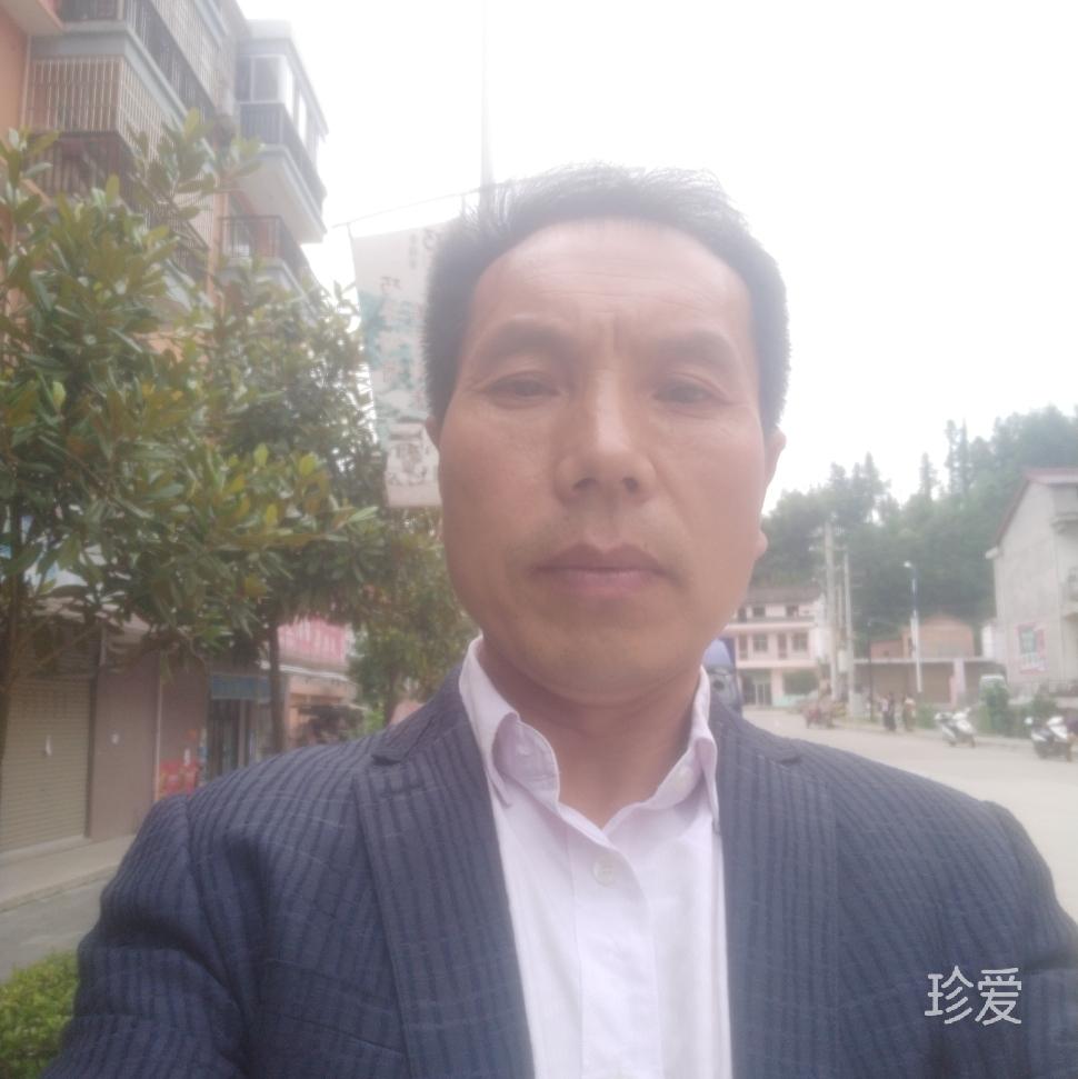 雨中的泪