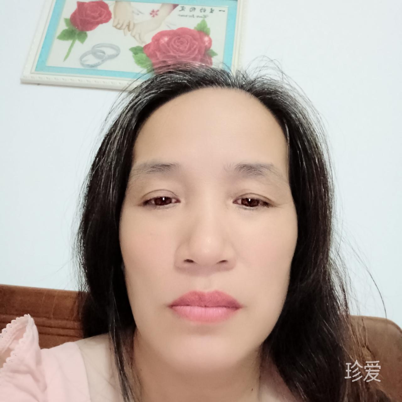 独开的玫瑰